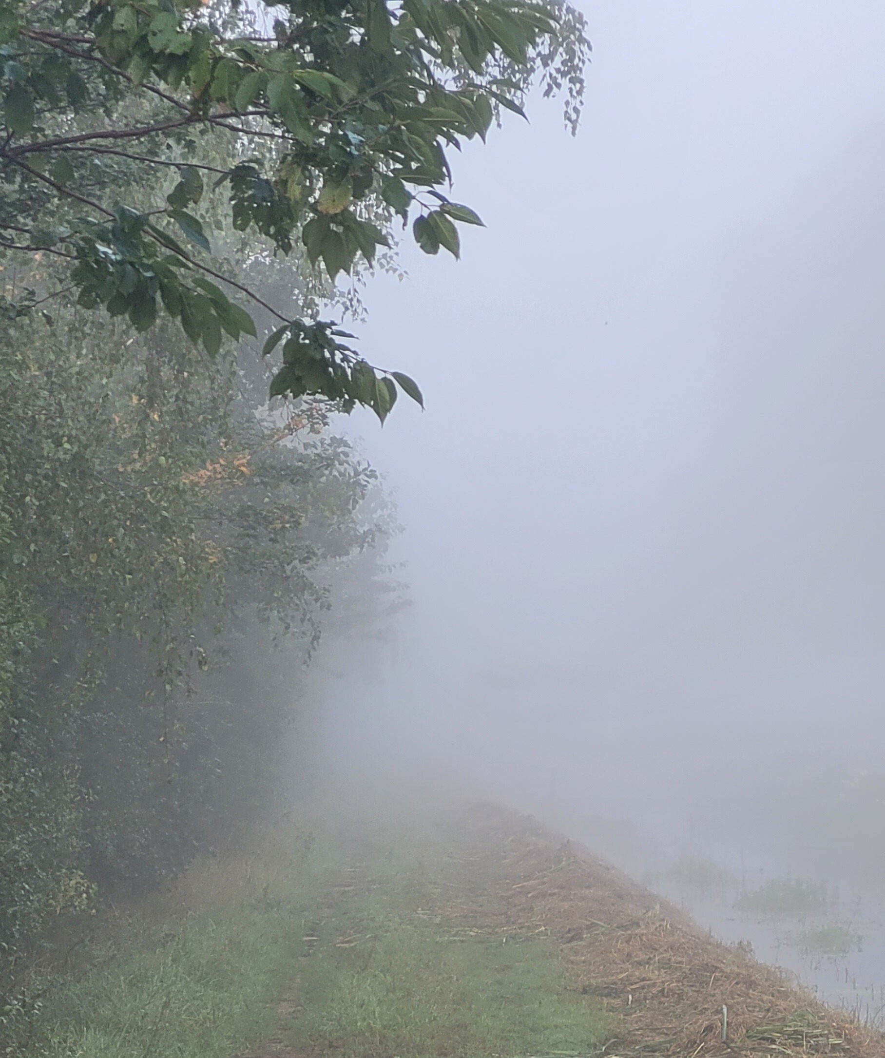 BalancedStory Archetypal Fog