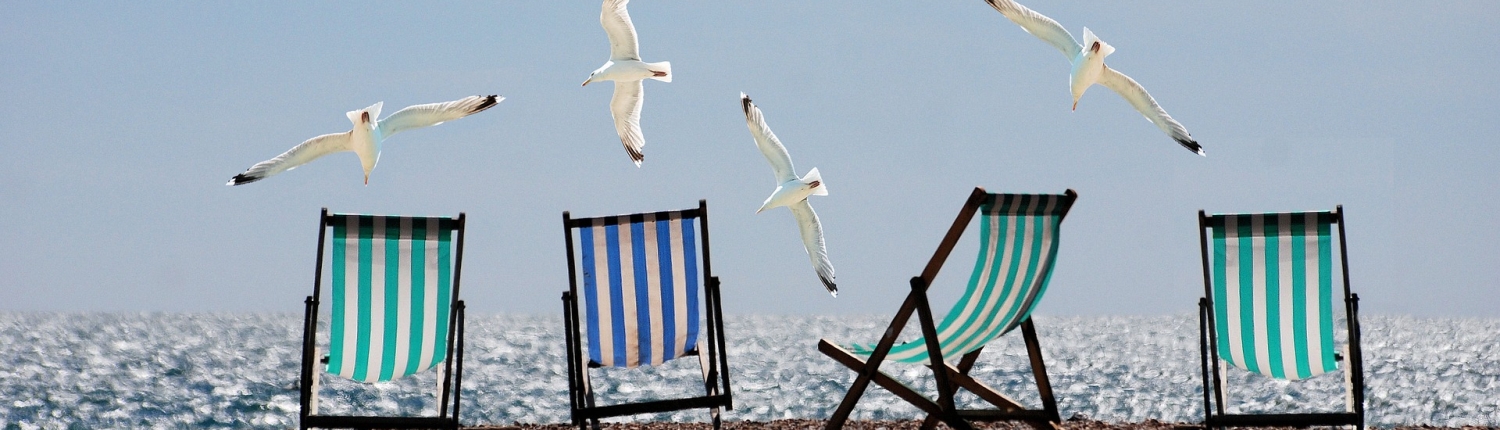 Archetypische Zomerexpeditie Archetypische Zomerexpeditie - 12 weken innerlijk vakantie